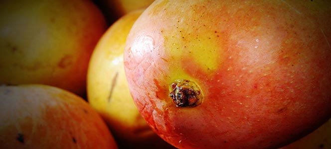 Манго Mango считается одним из старейших фруктов Индии
