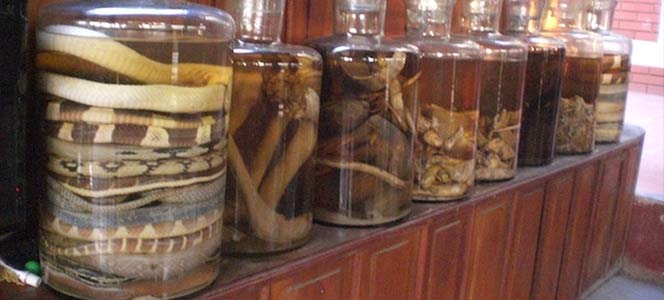 Кобры маринованные Деревня Ле мат