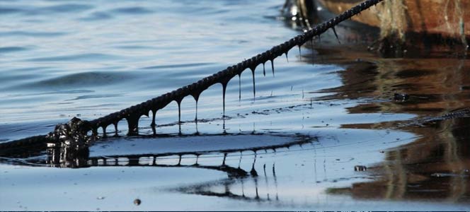 Загрязнение морской среды Загрязнение морской среды оказывает плохое влияние на всех живых существ