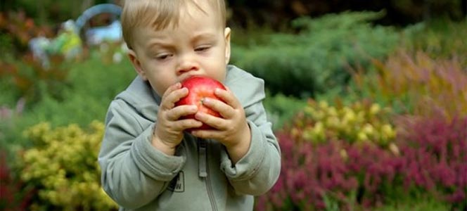 Хрум... хрум... Тыква, яблоко и свекла - идеальные продукты для здоровья ребенка!