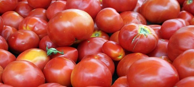 Томаты Томаты уменьшают риск рака предстательной железы на 20%