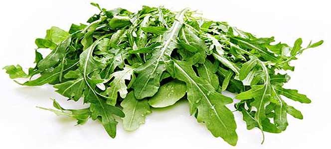 Руккола Горькие продукты могут облегчить приступы астмы