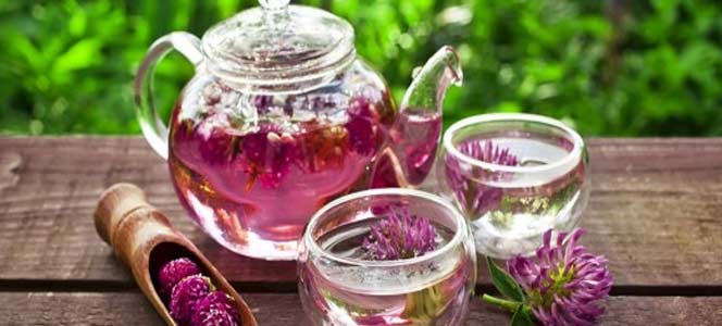 Чай из клевера Исцеляющий чай из красного клевера