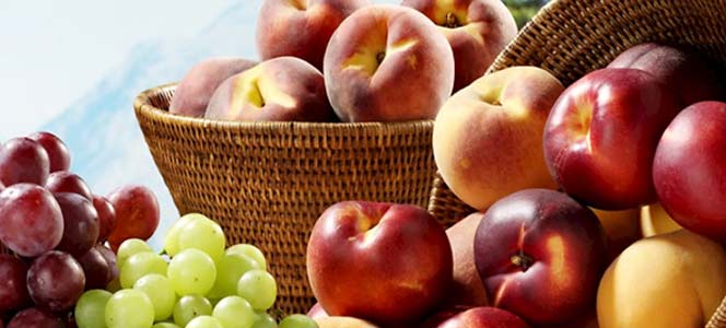 Ягоды, фрукты и овощи Самые вкусные фрукты, овощи и ягоды лета