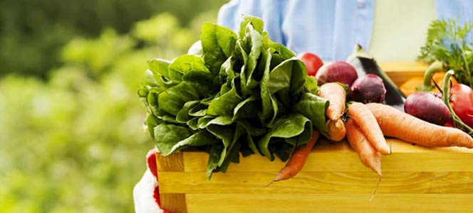 Продукты для детоксикации Детоксикация, как образ жизни