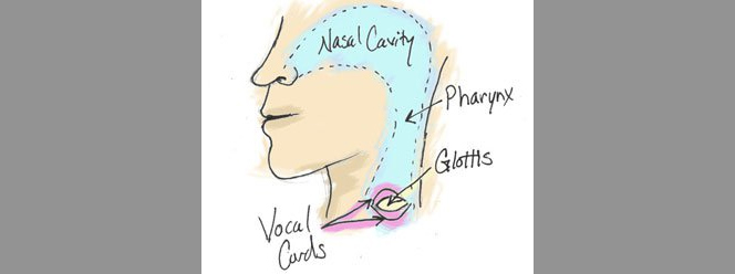 дыхание через ноздри Альтернативное дыхание через ноздри