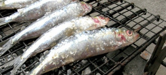 Вкусная и полезная сардина