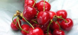 Чудесные плоды вишни