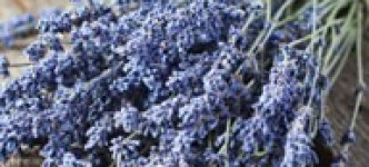 Ароматерапия от стрессов и беспокойства